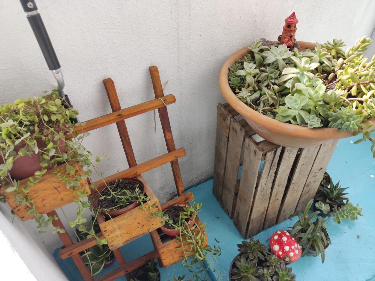 Sirius Hostel Rio de Janeiro Zewnętrze zdjęcie